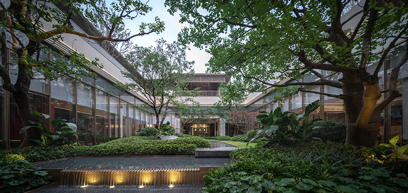 DSC_9506-Pano 拷贝.jpg