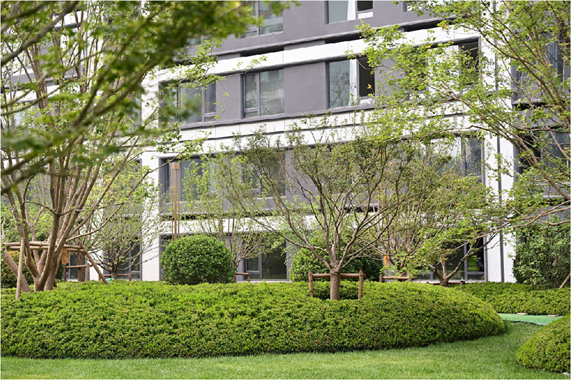 腾博会官网 - 诚信为本,专业服务!